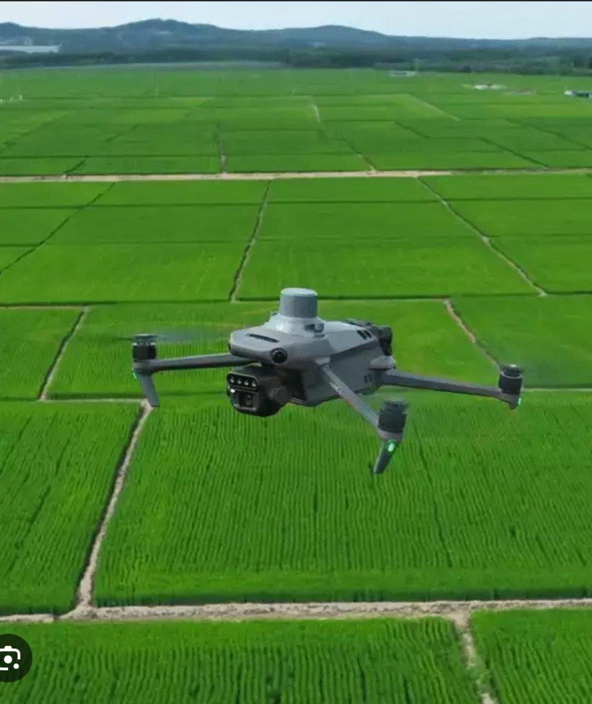 screenshot 2025 09 01 at 4.42.01 am